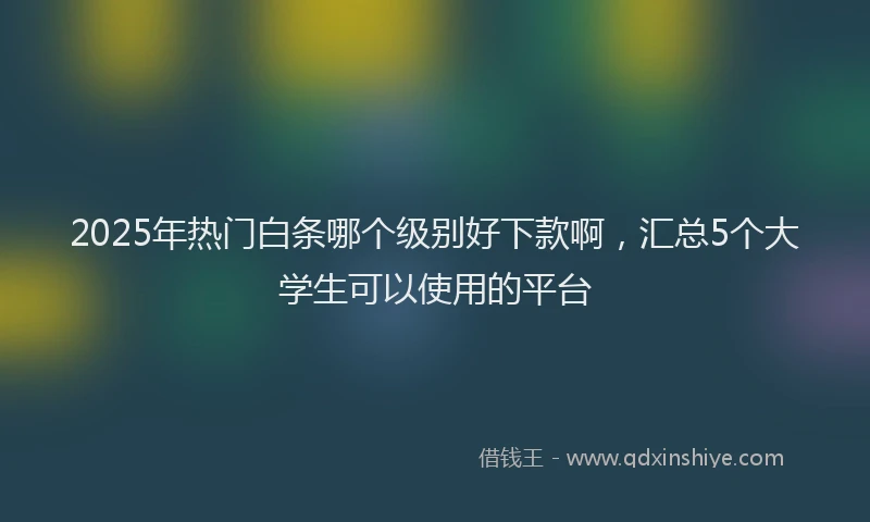 2025年热门白条哪个级别好下款啊，汇总5个大学生可以使用的平台