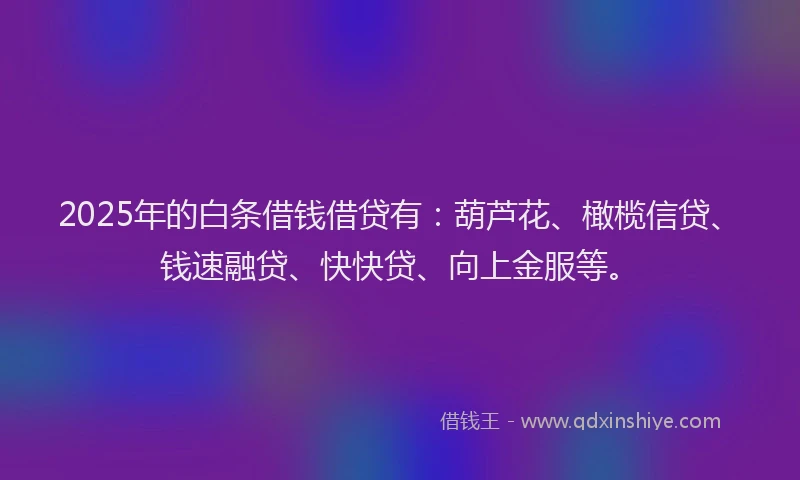2025年的白条借钱借贷有：葫芦花、橄榄信贷、钱速融贷、快快贷、向上金服等。