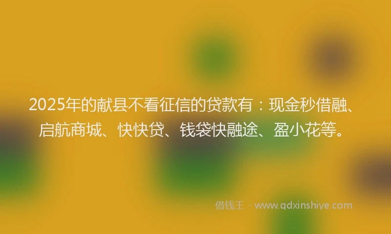 2025年的献县不看征信的贷款有：现金秒借融、启航商城、快快贷、钱袋快融途、盈小花等。
