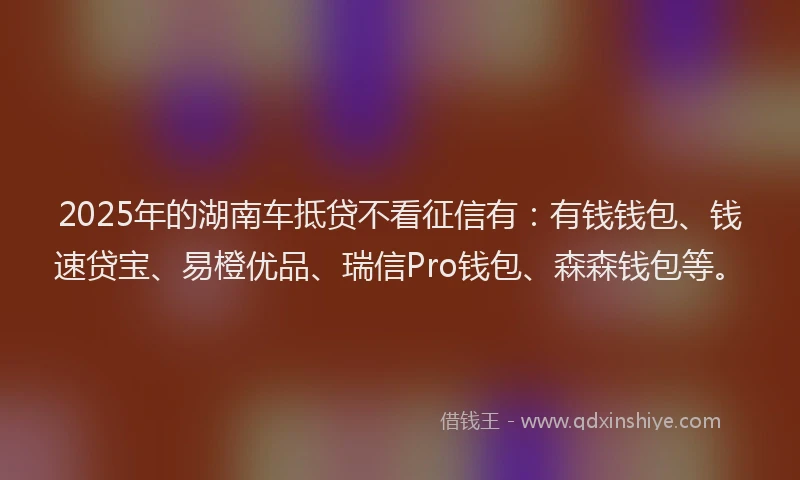2025年的湖南车抵贷不看征信有：有钱钱包、钱速贷宝、易橙优品、瑞信Pro钱包、森森钱包等。