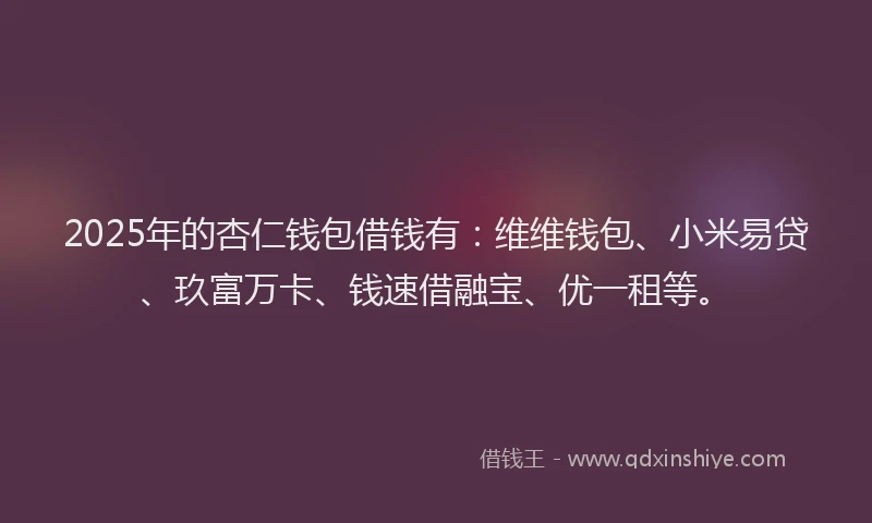 2025年的杏仁钱包借钱有：维维钱包、小米易贷、玖富万卡、钱速借融宝、优一租等。