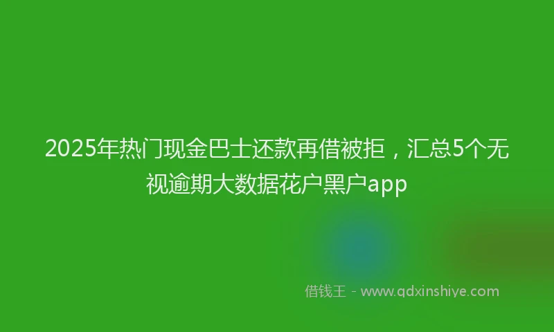 2025年热门现金巴士还款再借被拒，汇总5个无视逾期大数据花户黑户app
