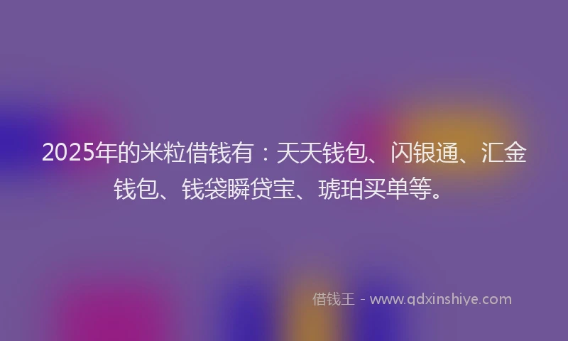 2025年的米粒借钱有：天天钱包、闪银通、汇金钱包、钱袋瞬贷宝、琥珀买单等。