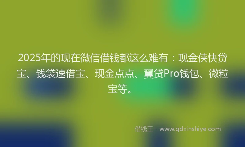 2025年的现在微信借钱都这么难有：现金侠快贷宝、钱袋速借宝、现金点点、翼贷Pro钱包、微粒宝等。