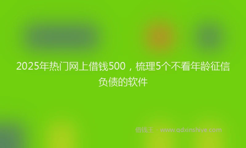 2025年热门网上借钱500，梳理5个不看年龄征信负债的软件