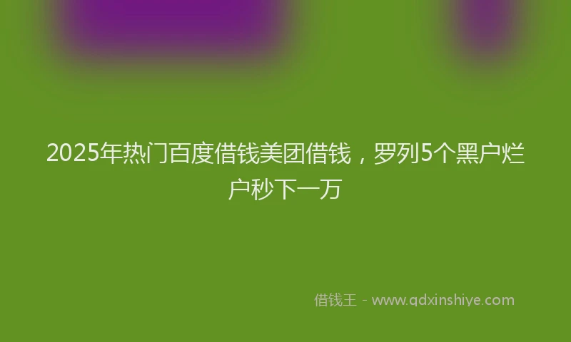 2025年热门百度借钱美团借钱，罗列5个黑户烂户秒下一万