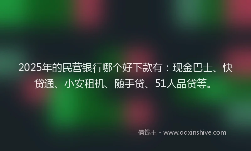 2025年的民营银行哪个好下款有：现金巴士、快贷通、小安租机、随手贷、51人品贷等。