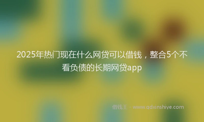 2025年热门现在什么网贷可以借钱，整合5个不看负债的长期网贷app