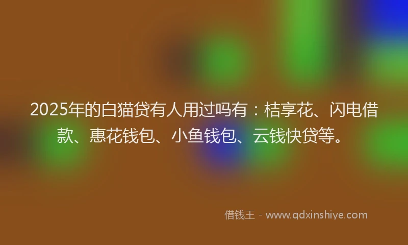 2025年的白猫贷有人用过吗有：桔享花、闪电借款、惠花钱包、小鱼钱包、云钱快贷等。