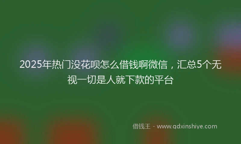2025年热门没花呗怎么借钱啊微信，汇总5个无视一切是人就下款的平台
