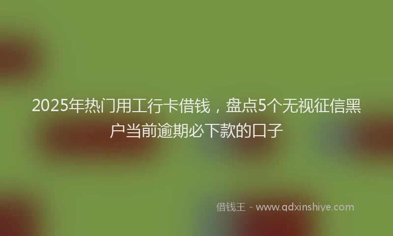 2025年热门用工行卡借钱，盘点5个无视征信黑户当前逾期必下款的口子