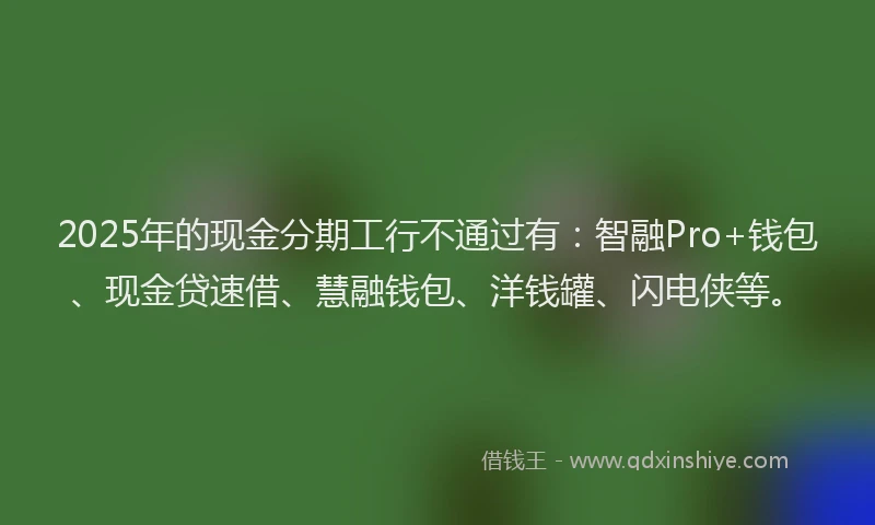 2025年的现金分期工行不通过有：智融Pro+钱包、现金贷速借、慧融钱包、洋钱罐、闪电侠等。