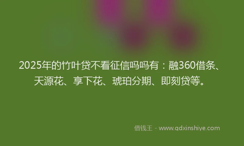 2025年的竹叶贷不看征信吗吗有：融360借条、天源花、享下花、琥珀分期、即刻贷等。