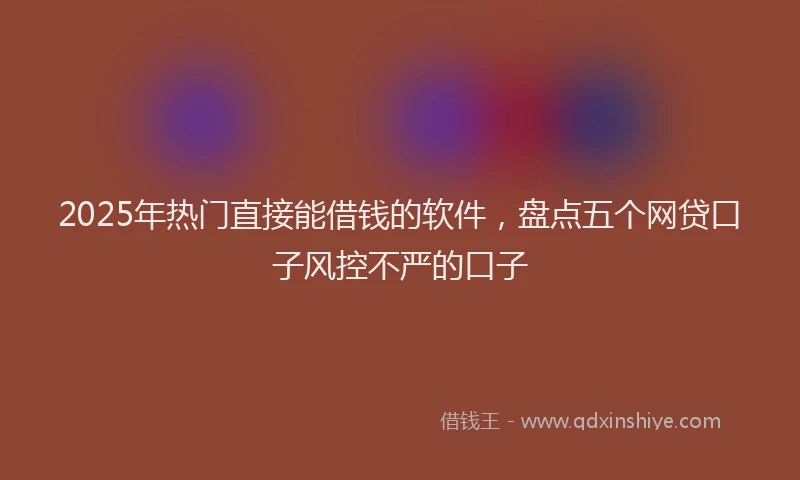 2025年热门直接能借钱的软件，盘点五个网贷口子风控不严的口子
