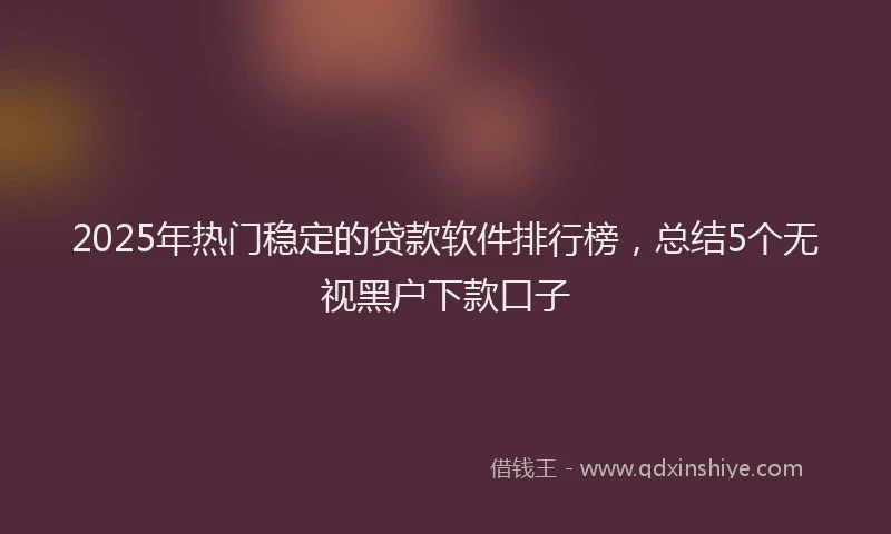 2025年热门稳定的贷款软件排行榜，总结5个无视黑户下款口子