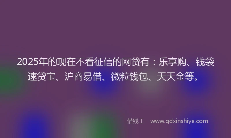 2025年的现在不看征信的网贷有：乐享购、钱袋速贷宝、沪商易借、微粒钱包、天天金等。