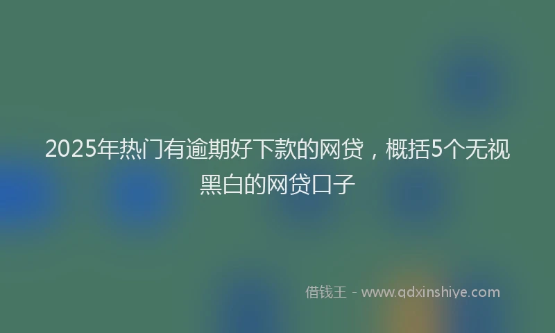 2025年热门有逾期好下款的网贷，概括5个无视黑白的网贷口子