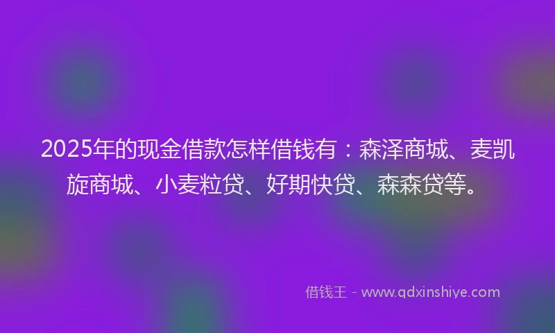 2025年的现金借款怎样借钱有：森泽商城、麦凯旋商城、小麦粒贷、好期快贷、森森贷等。