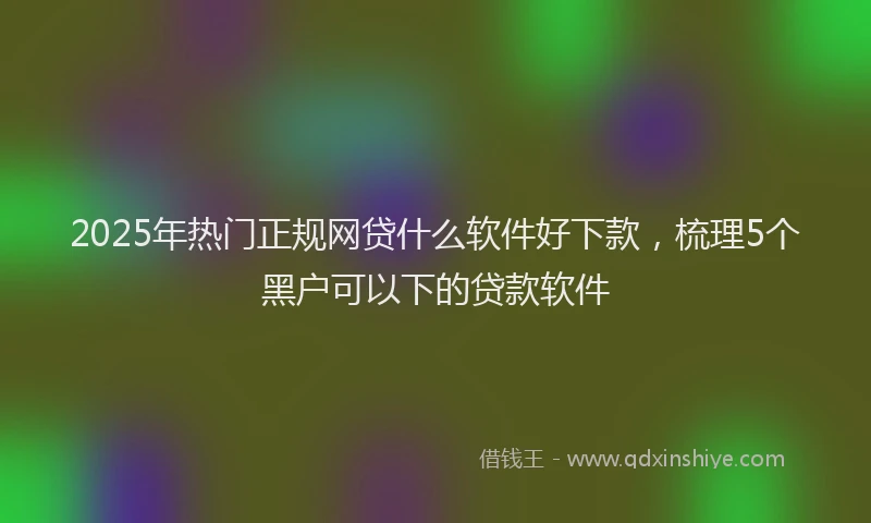 2025年热门正规网贷什么软件好下款，梳理5个黑户可以下的贷款软件