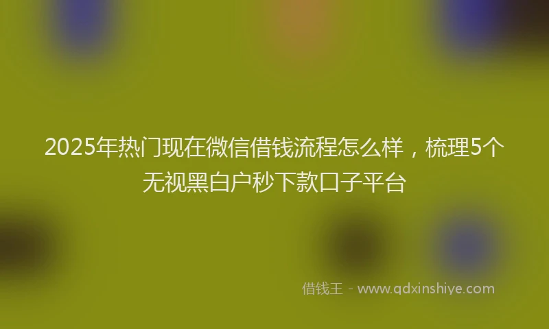 2025年热门现在微信借钱流程怎么样，梳理5个无视黑白户秒下款口子平台