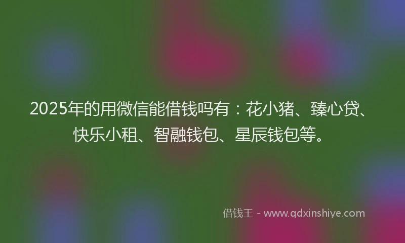 2025年的用微信能借钱吗有：花小猪、臻心贷、快乐小租、智融钱包、星辰钱包等。