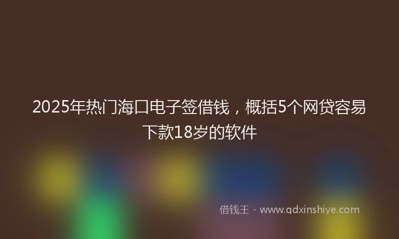2025年热门海口电子签借钱，概括5个网贷容易下款18岁的软件