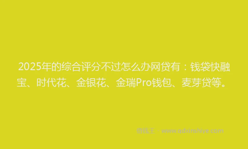 2025年的综合评分不过怎么办网贷有：钱袋快融宝、时代花、金银花、金瑞Pro钱包、麦芽贷等。