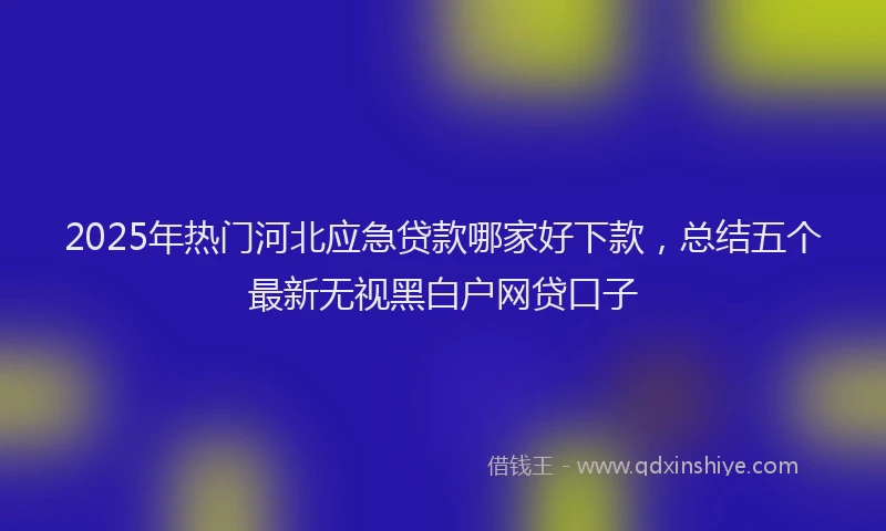 2025年热门河北应急贷款哪家好下款，总结五个最新无视黑白户网贷口子