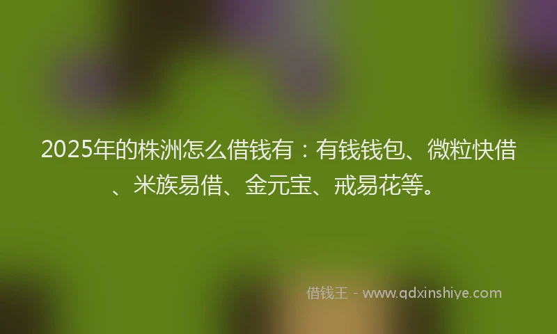 2025年的株洲怎么借钱有：有钱钱包、微粒快借、米族易借、金元宝、戒易花等。