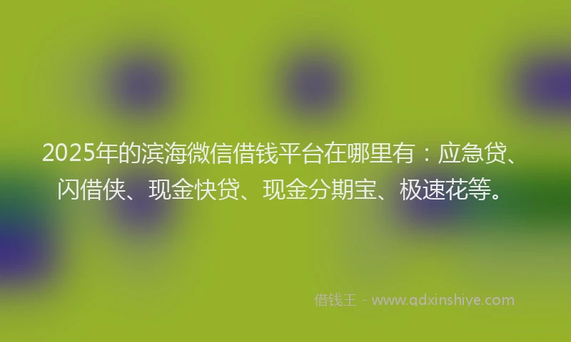 2025年的滨海微信借钱平台在哪里有：应急贷、闪借侠、现金快贷、现金分期宝、极速花等。
