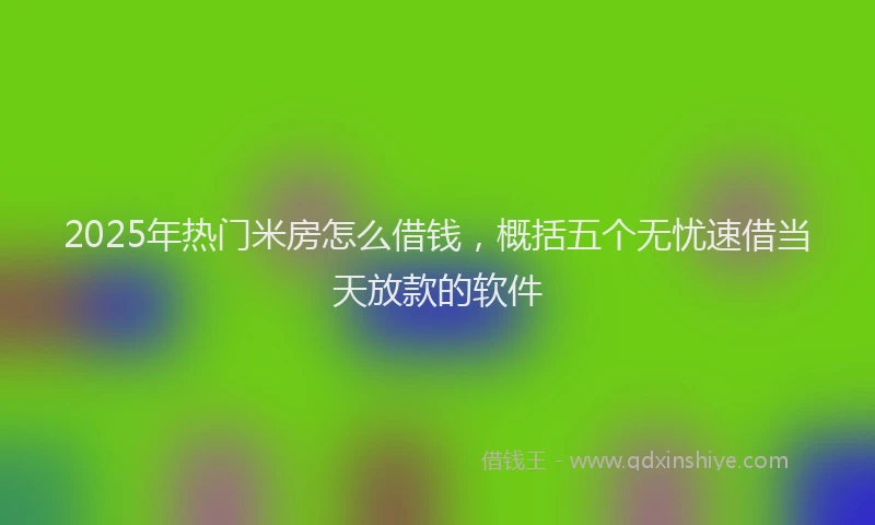2025年热门米房怎么借钱，概括五个无忧速借当天放款的软件