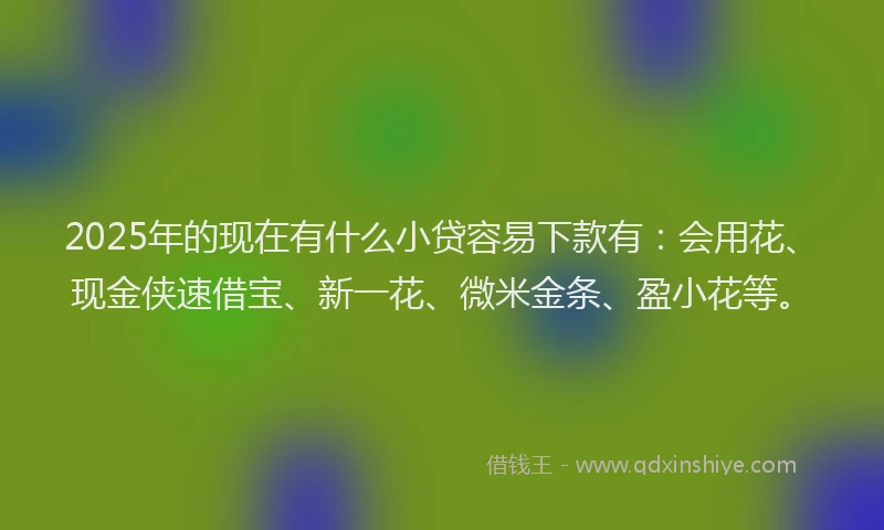 2025年的现在有什么小贷容易下款有：会用花、现金侠速借宝、新一花、微米金条、盈小花等。