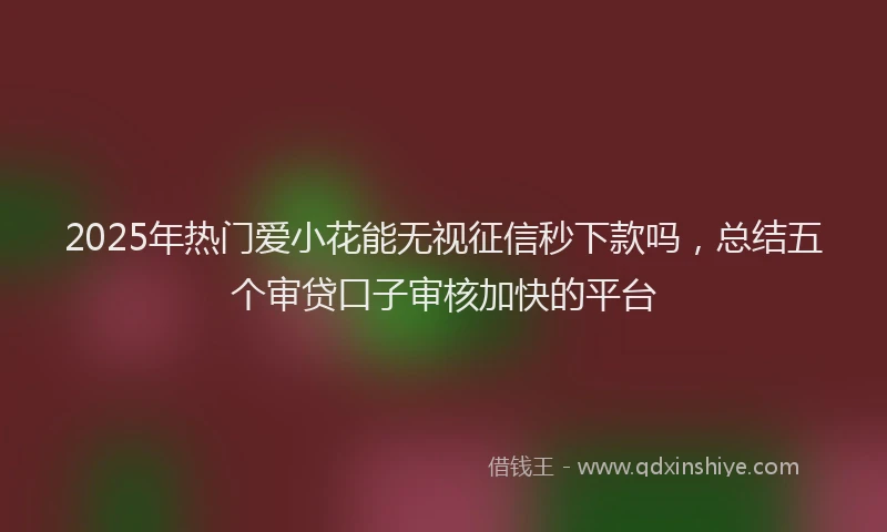 2025年热门爱小花能无视征信秒下款吗，总结五个审贷口子审核加快的平台