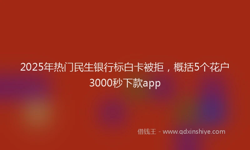 2025年热门民生银行标白卡被拒，概括5个花户3000秒下款app