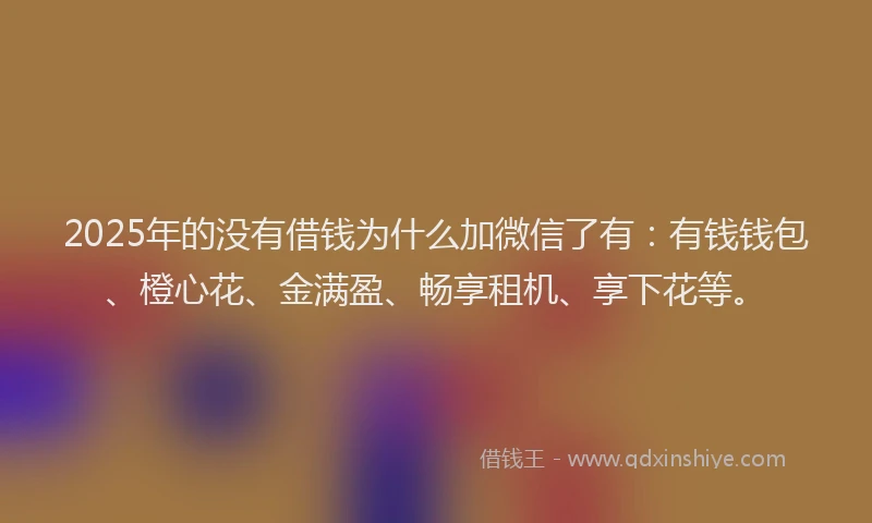 2025年的没有借钱为什么加微信了有：有钱钱包、橙心花、金满盈、畅享租机、享下花等。