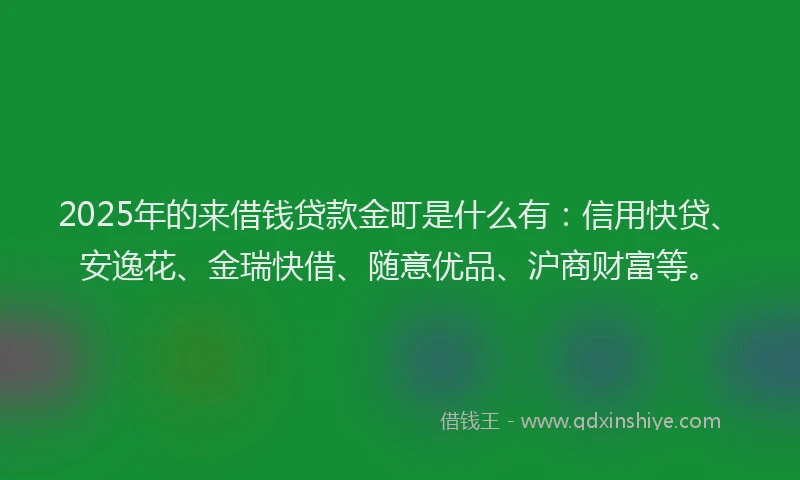 2025年的来借钱贷款金町是什么有：信用快贷、安逸花、金瑞快借、随意优品、沪商财富等。