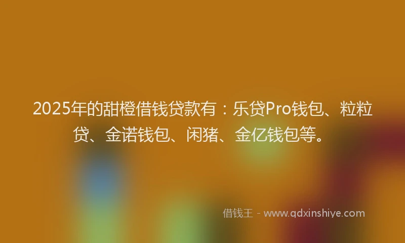 2025年的甜橙借钱贷款有：乐贷Pro钱包、粒粒贷、金诺钱包、闲猪、金亿钱包等。