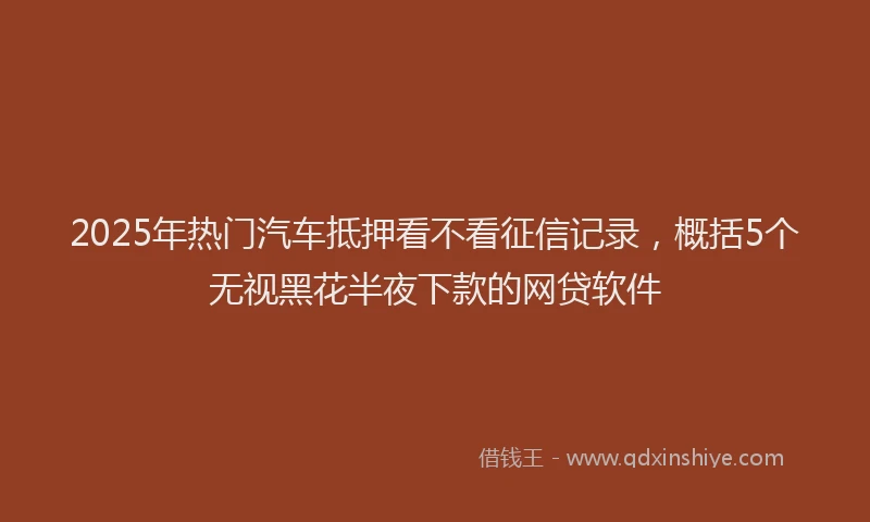 2025年热门汽车抵押看不看征信记录，概括5个无视黑花半夜下款的网贷软件