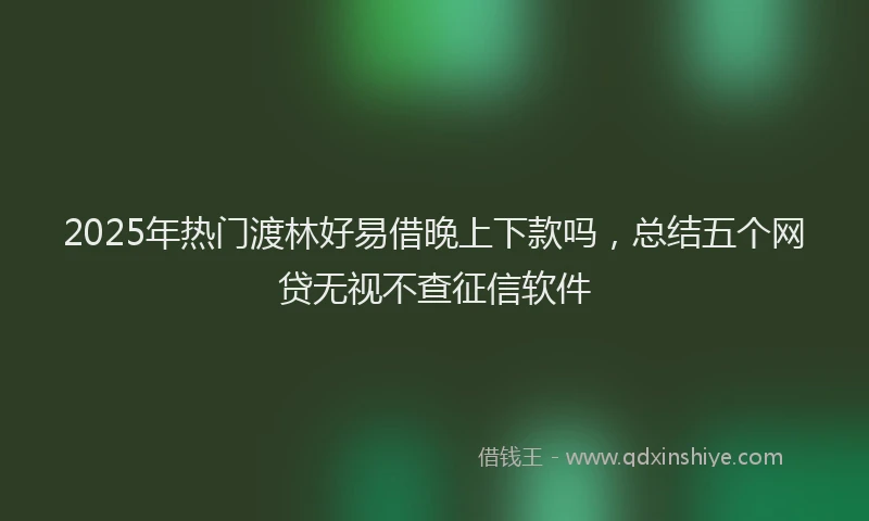 2025年热门渡林好易借晚上下款吗，总结五个网贷无视不查征信软件