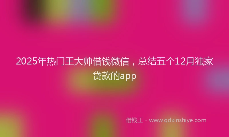 2025年热门王大帅借钱微信，总结五个12月独家贷款的app