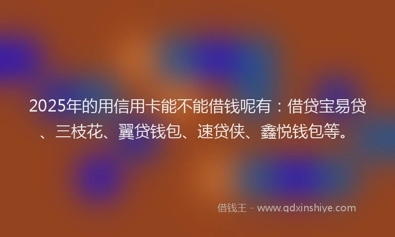 2025年的用信用卡能不能借钱呢有：借贷宝易贷、三枝花、翼贷钱包、速贷侠、鑫悦钱包等。