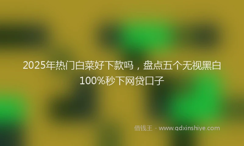2025年热门白菜好下款吗，盘点五个无视黑白100%秒下网贷口子