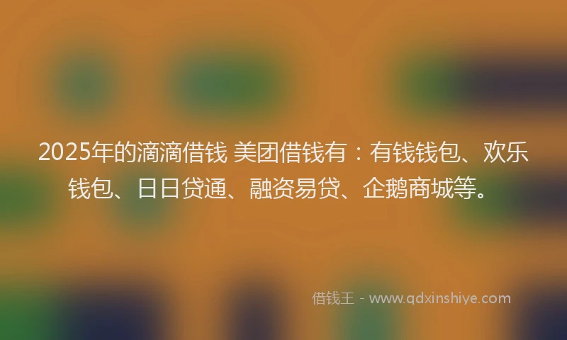 2025年的滴滴借钱 美团借钱有：有钱钱包、欢乐钱包、日日贷通、融资易贷、企鹅商城等。