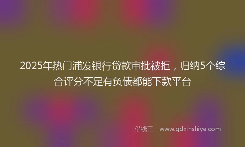 2025年热门浦发银行贷款审批被拒，归纳5个综合评分不足有负债都能下款平台