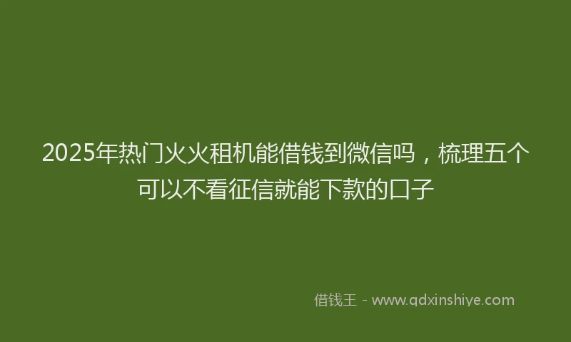 2025年热门火火租机能借钱到微信吗，梳理五个可以不看征信就能下款的口子