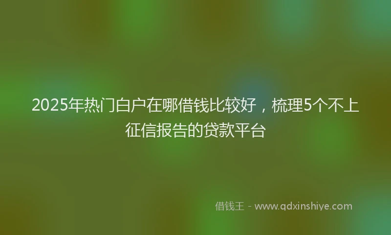 2025年热门白户在哪借钱比较好，梳理5个不上征信报告的贷款平台