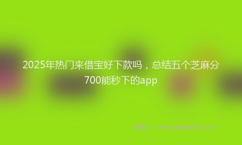 2025年热门来借宝好下款吗，总结五个芝麻分700能秒下的app