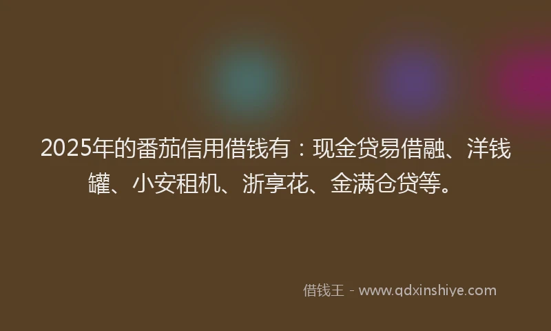 2025年的番茄信用借钱有：现金贷易借融、洋钱罐、小安租机、浙享花、金满仓贷等。