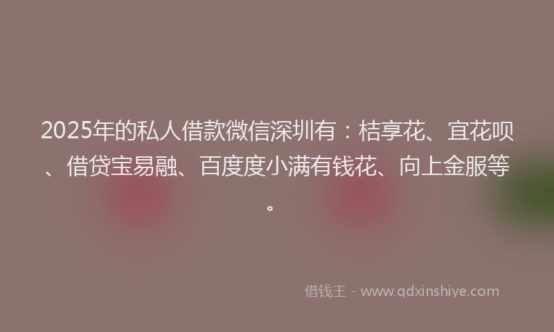 2025年的私人借款微信深圳有：桔享花、宜花呗、借贷宝易融、百度度小满有钱花、向上金服等。