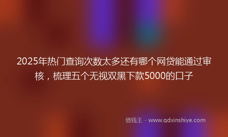 2025年热门查询次数太多还有哪个网贷能通过审核，梳理五个无视双黑下款5000的口子